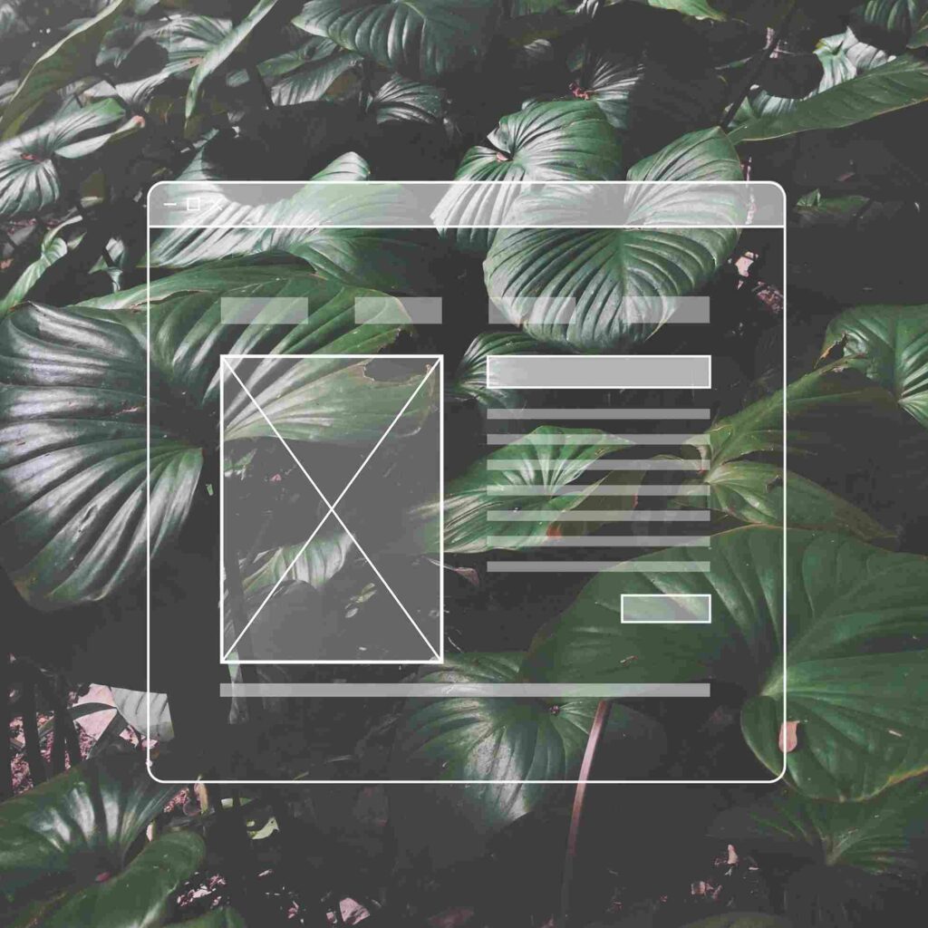 website redesign
